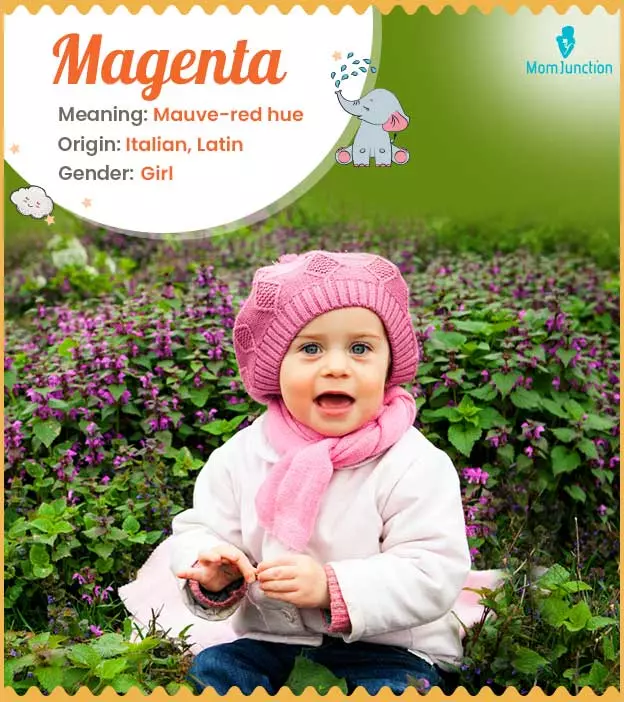 magenta: Name Meaning, Origin, History, And Popularity ...
