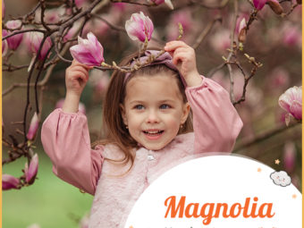 Magnolia, a name after the magnolia flower