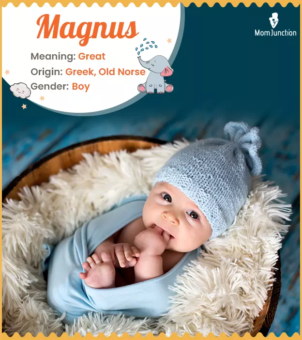 magnus: Name Meaning, Origin, History, And Popularity ...