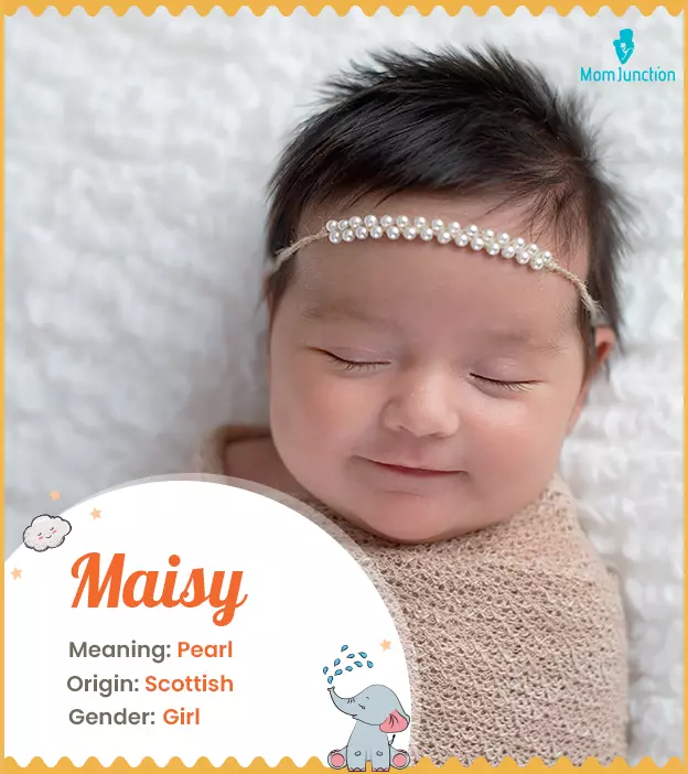 Maisy Name Meaning, Origin, History, And Popularity_image