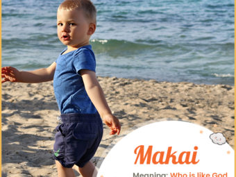 Makai means who is like God or seaward