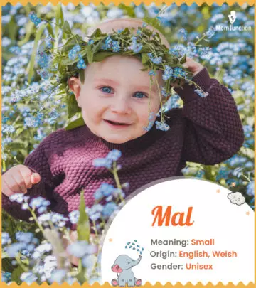 Explore Mal: Meaning, Origin & Popularity | MomJunction