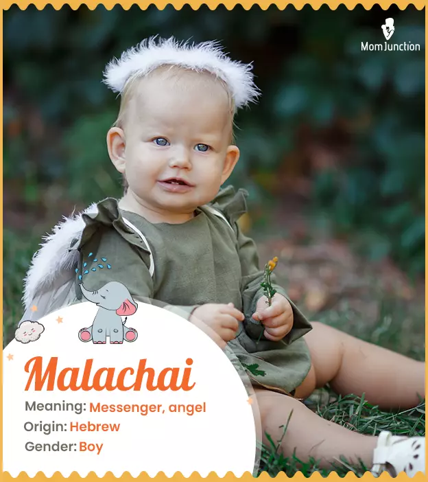 Malachai Name Meaning, Origin, History, And Popularity ...