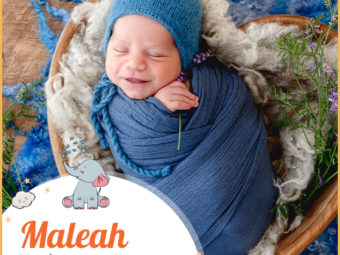 Maleah, meaning beloved or calm