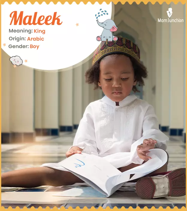 maleek: Name Meaning, Origin, History, And Popularity | MomJunction