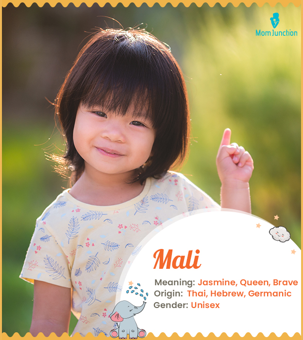 mali: Name Meaning, Origin, History, And Popularity_image