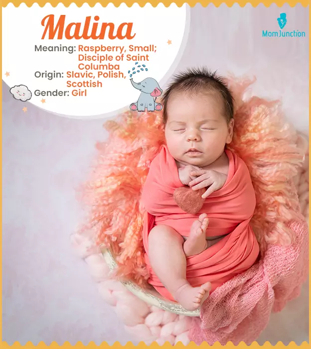 Malina Meaning, Origin, History, And Popularity | MomJunction