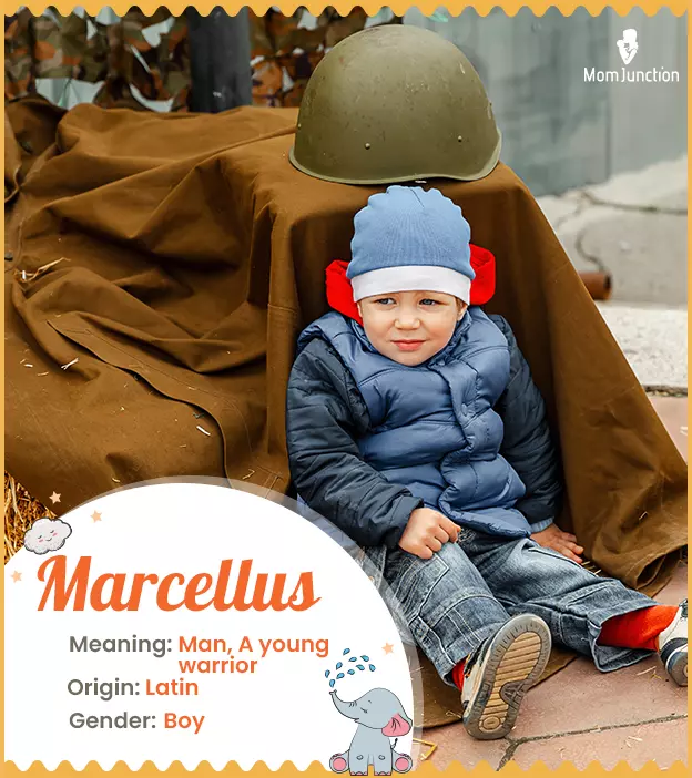 marcellus