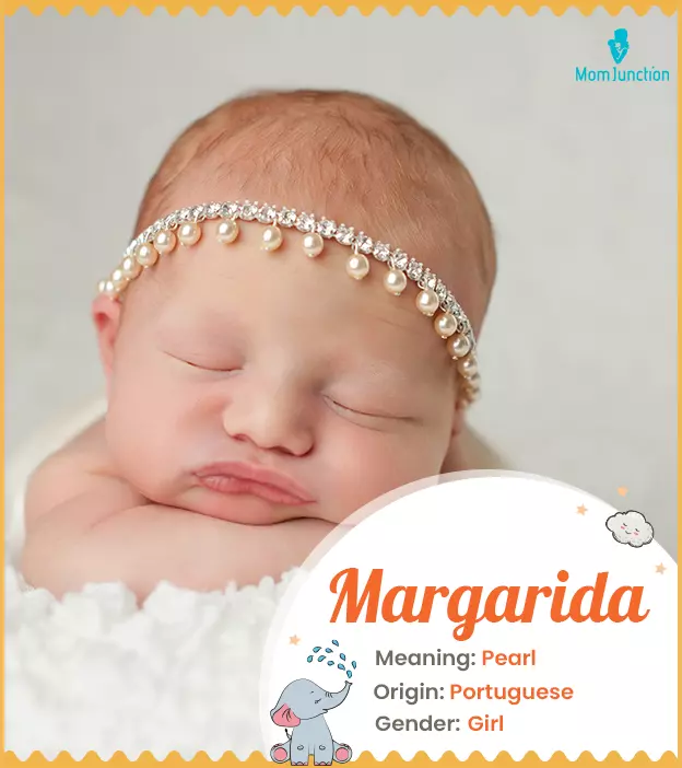 Margarida: Name Meaning, Origin, History, And Popularity ...