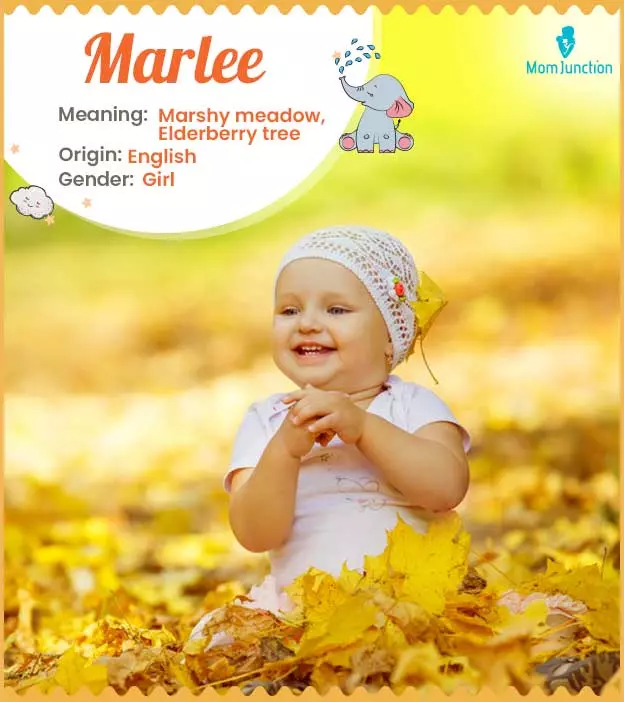 Explore Marlee: Meaning, Origin & Popularity | MomJunction
