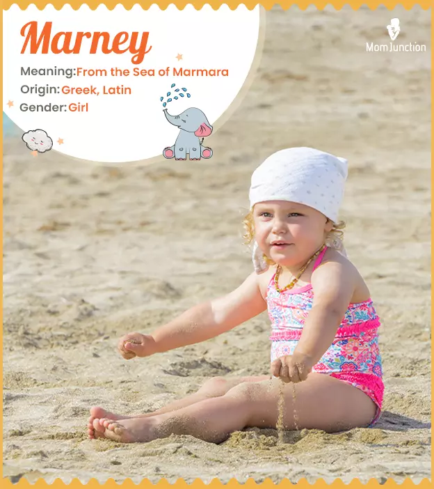 Marney Name Meaning, Origin, History, And Popularity_image