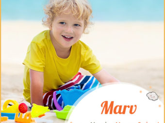 Marv means marrow or eminent.