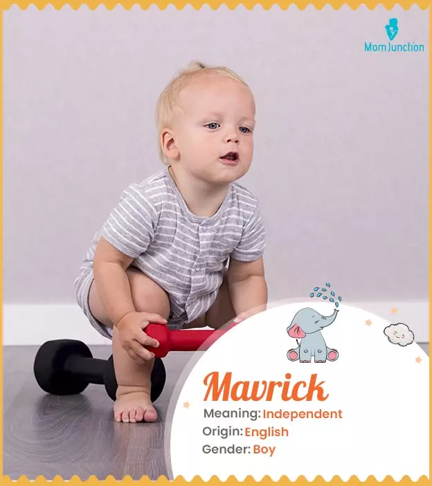 mavrick: Name Meaning, Origin, History, And Popularity | MomJunction