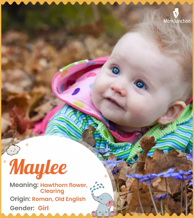 Explore Maylee: Meaning, Origin & Popularity_image