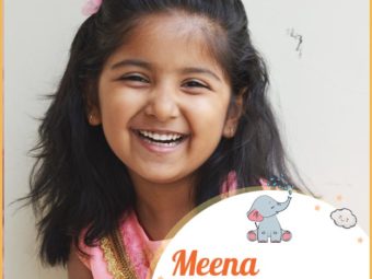 Meena means fish