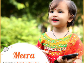 Meera, a devotee of Lord Krishna