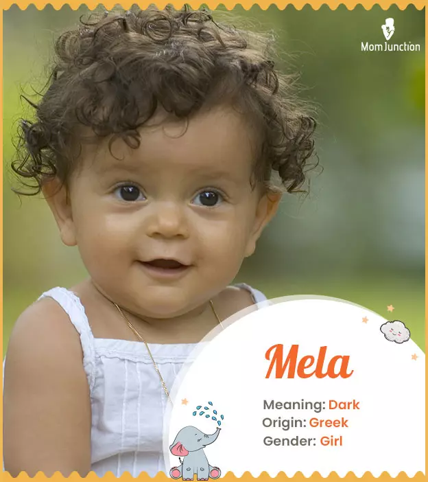 Mela Name, Meaning, Origin, History, And Popularity | MomJunction