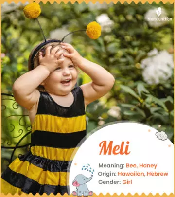 Explore Meli: Meaning, Origin & Popularity | MomJunction