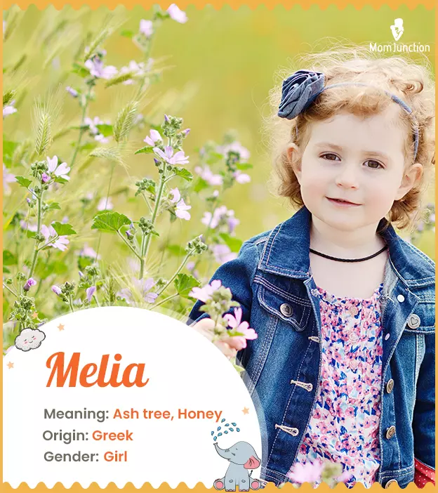 Melia: Name Meaning, Origin, History, And Popularity | MomJunction