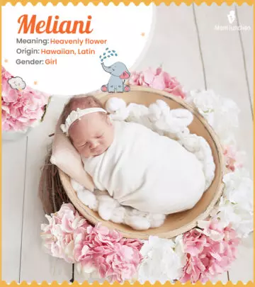 Meilani meaning a heavenly flower
