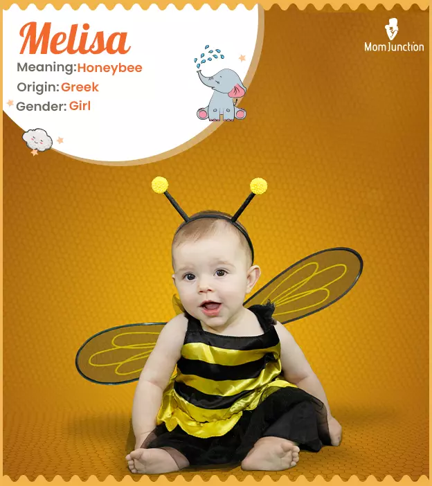 melisa: Name Meaning, Origin, History, And Popularity_image