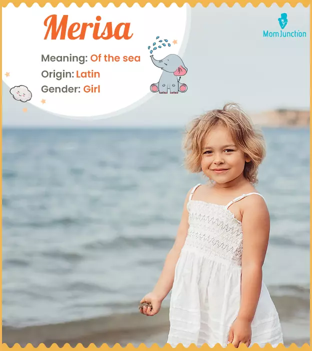 merisa: Name Meaning, Origin, History, And Popularity | MomJunction
