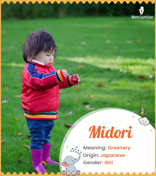 Midori: Name Meaning, Origin, History, And Popularity | MomJunction