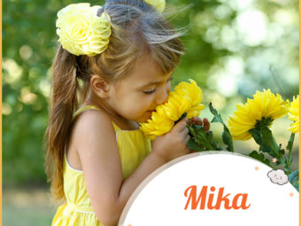 Mika means beautiful fragrance