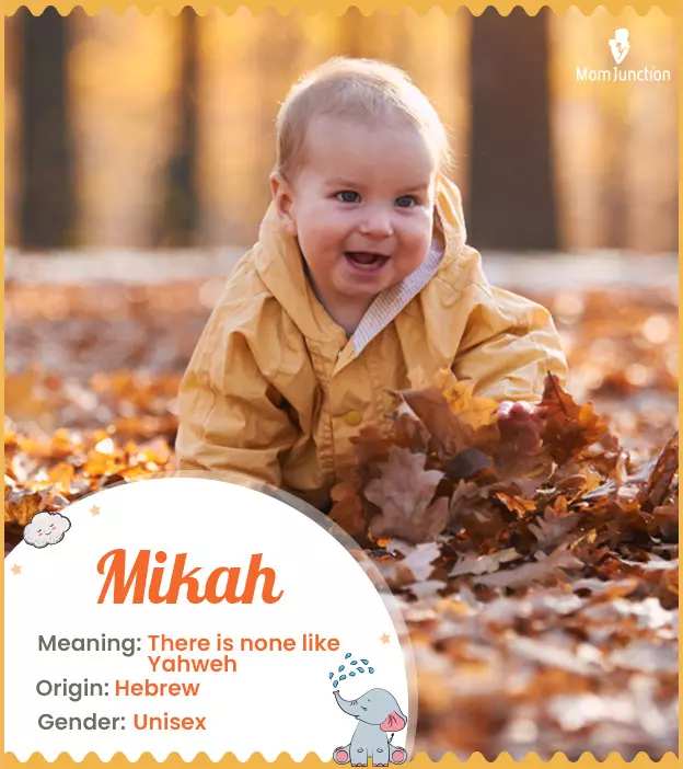 mikah: Name Meaning, Origin, History, And Popularity | MomJunction