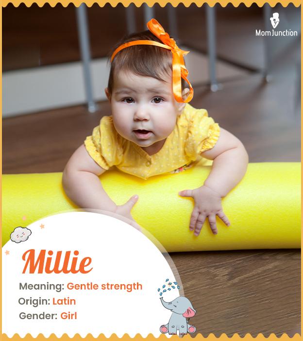 Millie Name, Meaning, Origin, History, And Popularity_image