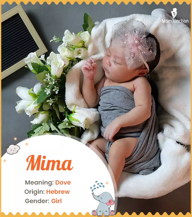 Mima Name, Meaning, Origin, History, And Popularity | MomJunction