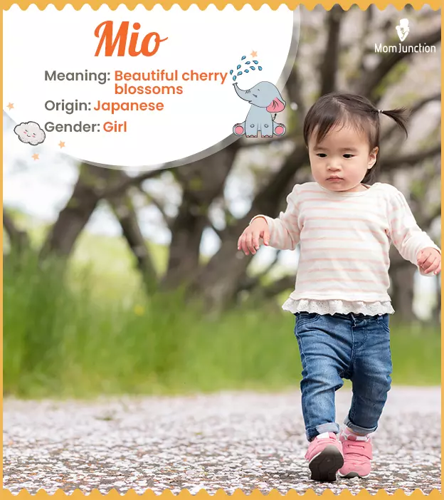 Mio Name, Meaning, Origin, History, and Popularity | MomJunction