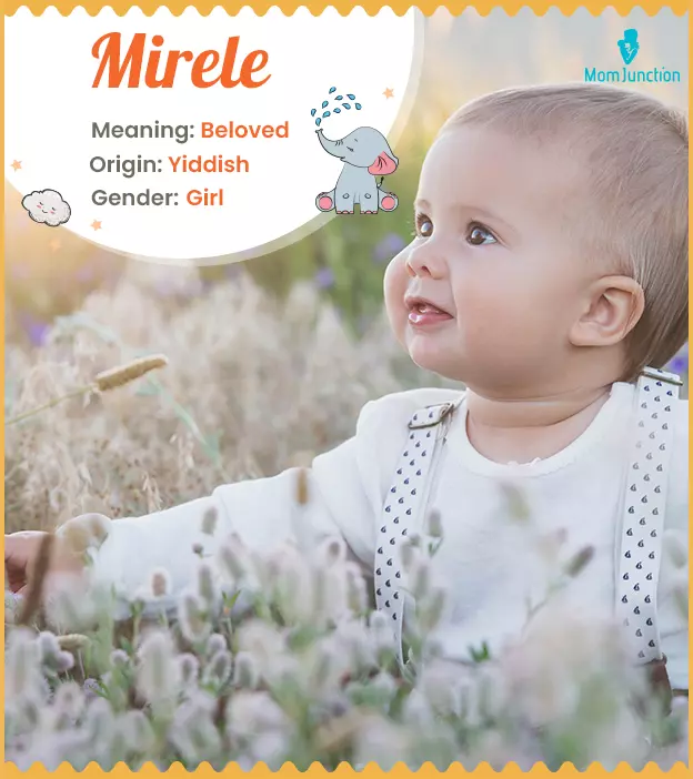 Mirele, meaning belo