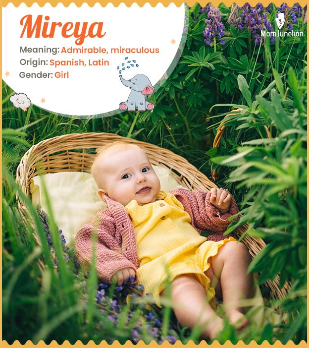 Mireya Name Meaning, Origin, History, And Popularity_image