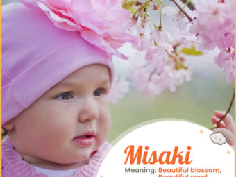 Misaki meaning Beautiful blossom, Beautiful sand chronicle, Ocean blossom