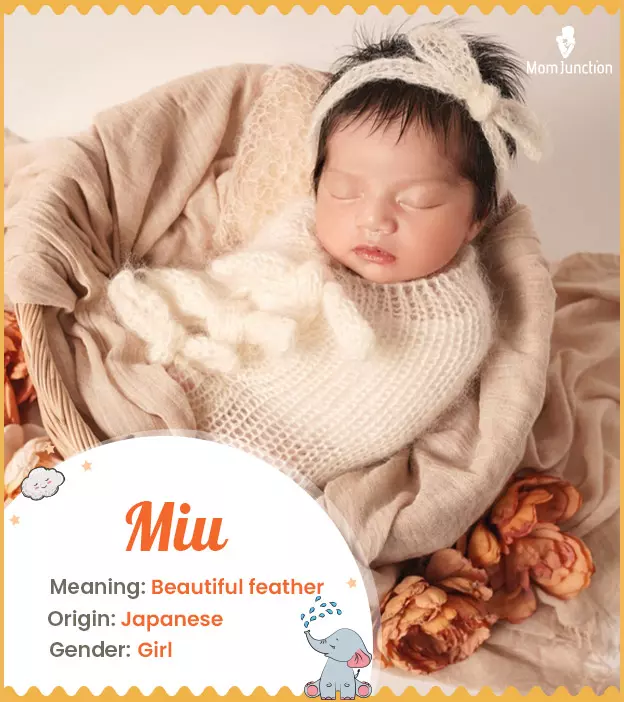 Miu Name, Meaning, Origin, History, And Popularity | MomJunction