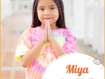Miya, meaning shrine or mine
