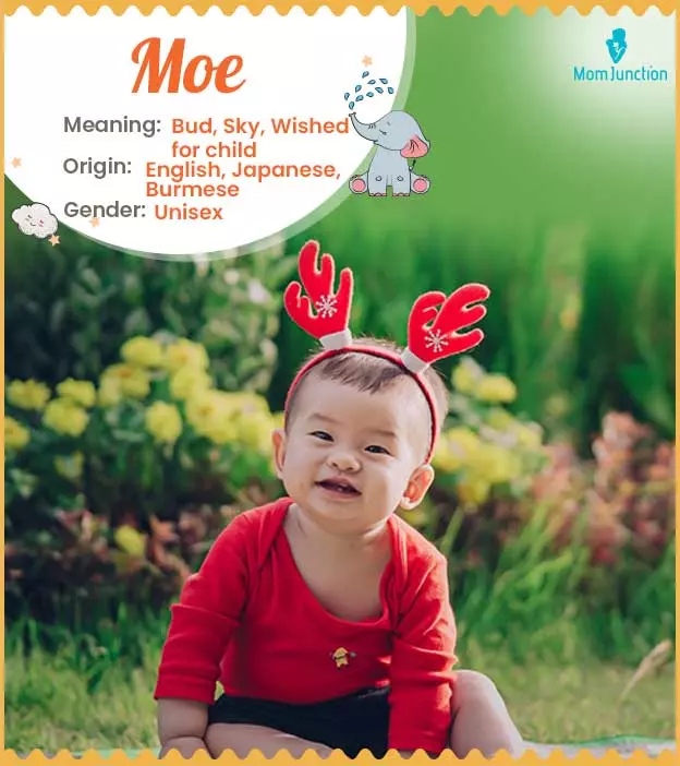 Explore Moe: Meaning, Origin & Popularity | MomJunction