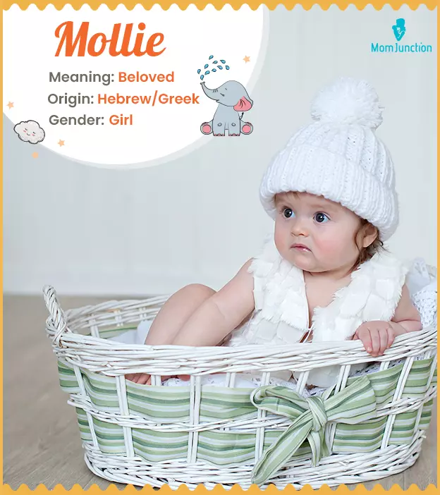 mollie: Name Meaning, Origin, History, And Popularity_image