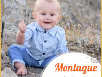 Montague, strong as a mountain