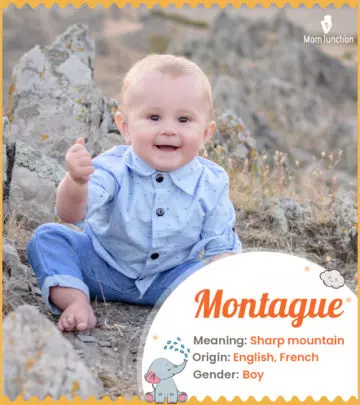 Explore Montague: Meaning, Origin & Popularity_image