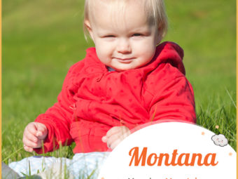 Montana, meaning Mountanious