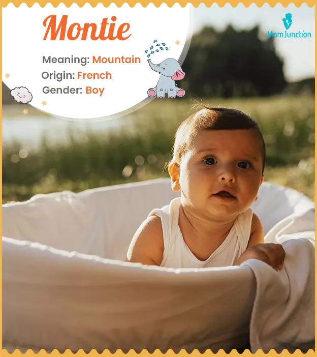 Explore Montie: Meaning, Origin & Popularity | MomJunction