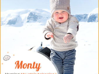Monty, meaning mountain belonging to a ruler, pointed hill, or steep mountain