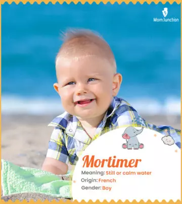 Explore Mortimer: Meaning, Origin & Popularity | MomJunction