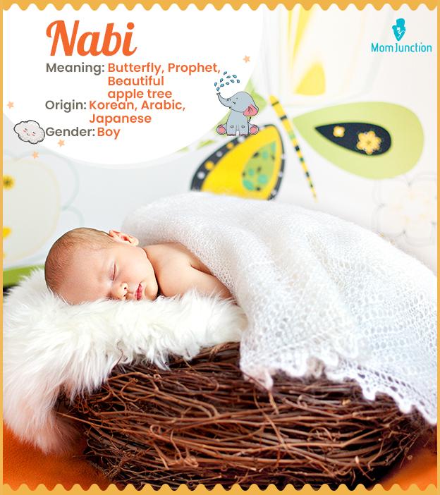 Nabi, means butterfl