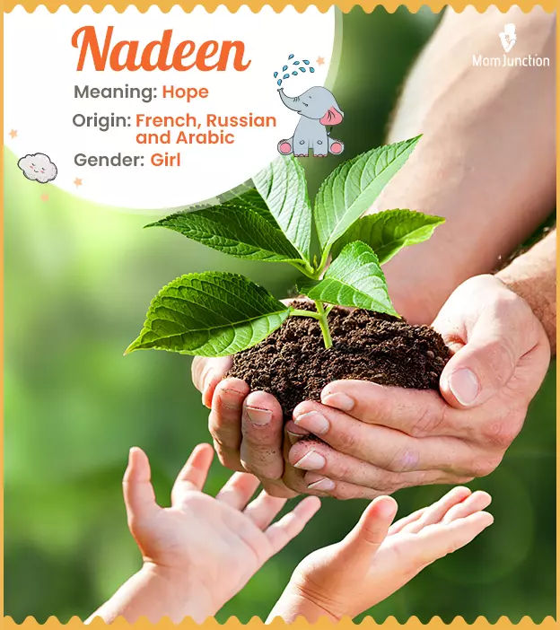 Nadeen Name, Meaning, Origin, History, And Popularity ...