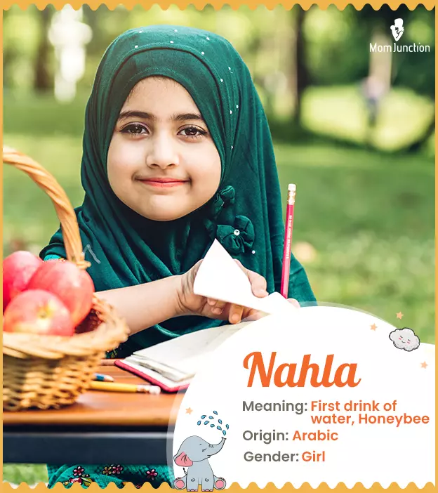 Nahla Name Meaning, Origin, History, And Popularity_image