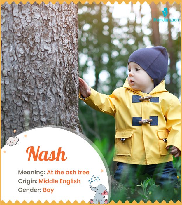 Nashe / Que significa Nashe?