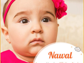 Nawal means gift